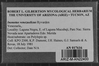 Image Associated With the Occurrence