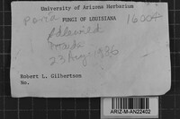 Image Associated With the Occurrence