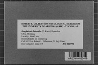 Image Associated With the Occurrence