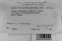 Image Associated With the Occurrence