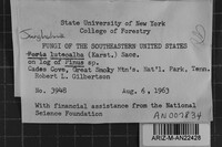 Image Associated With the Occurrence