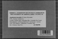 Image Associated With the Occurrence