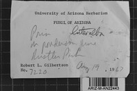 Image Associated With the Occurrence