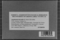 Image Associated With the Occurrence