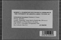 Image Associated With the Occurrence