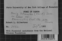 Image Associated With the Occurrence