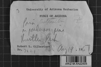 Image Associated With the Occurrence