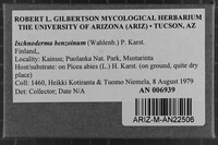 Image Associated With the Occurrence