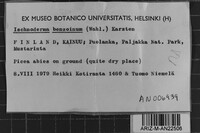 Image Associated With the Occurrence