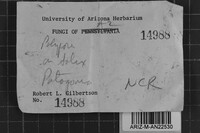 Image Associated With the Occurrence