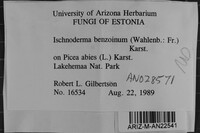 Image Associated With the Occurrence