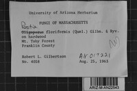 Image Associated With the Occurrence