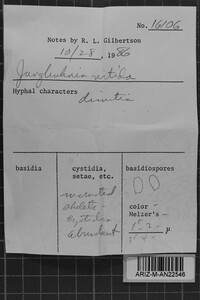 Image Associated With the Occurrence