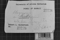 Image Associated With the Occurrence