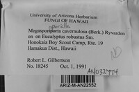 Cerioporus cavernulosus image
