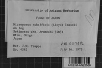 Image Associated With the Occurrence