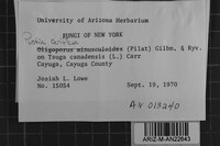 Image Associated With the Occurrence