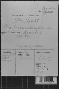 Image Associated With the Occurrence