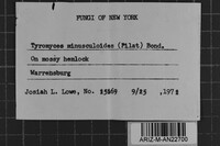 Image Associated With the Occurrence