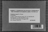 Podofomes trogii image