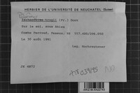 Image Associated With the Occurrence