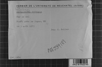 Image Associated With the Occurrence