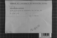 Image Associated With the Occurrence