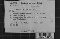 Image Associated With the Occurrence