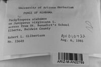 Image Associated With the Occurrence