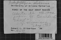 Pachykytospora alabamae image