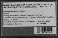 Image Associated With the Occurrence