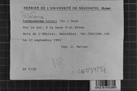 Image Associated With the Occurrence