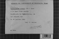 Image Associated With the Occurrence