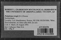 Podofomes trogii image