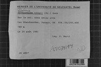 Image Associated With the Occurrence