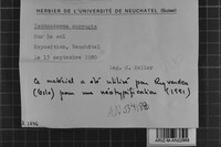 Image Associated With the Occurrence