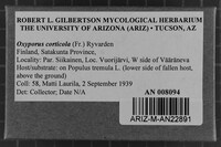 Image Associated With the Occurrence