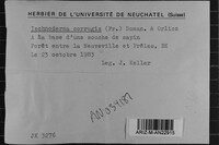 Image Associated With the Occurrence