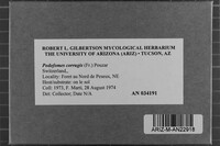 Image Associated With the Occurrence