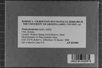 Image Associated With the Occurrence