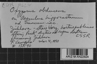 Image Associated With the Occurrence