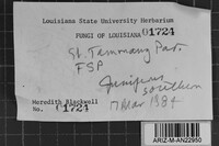 Image Associated With the Occurrence