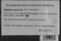 Image Associated With the Occurrence