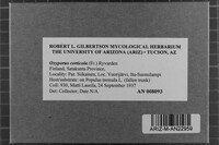 Image Associated With the Occurrence