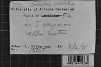 Image Associated With the Occurrence