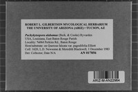 Image Associated With the Occurrence