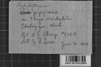 Image Associated With the Occurrence