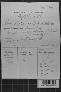 Image Associated With the Occurrence