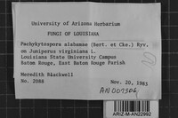 Image Associated With the Occurrence