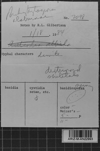 Image Associated With the Occurrence